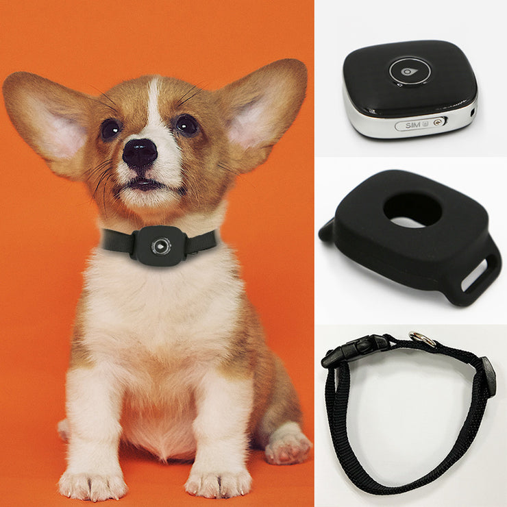 GPS Locator To Prevent Stray Pet Cat And Dog