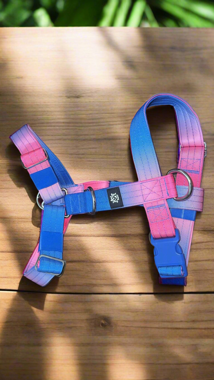 Pink & Blue Ombre | 5cm Tactical Harness