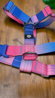 Pink & Blue Ombre | 5cm Tactical Harness