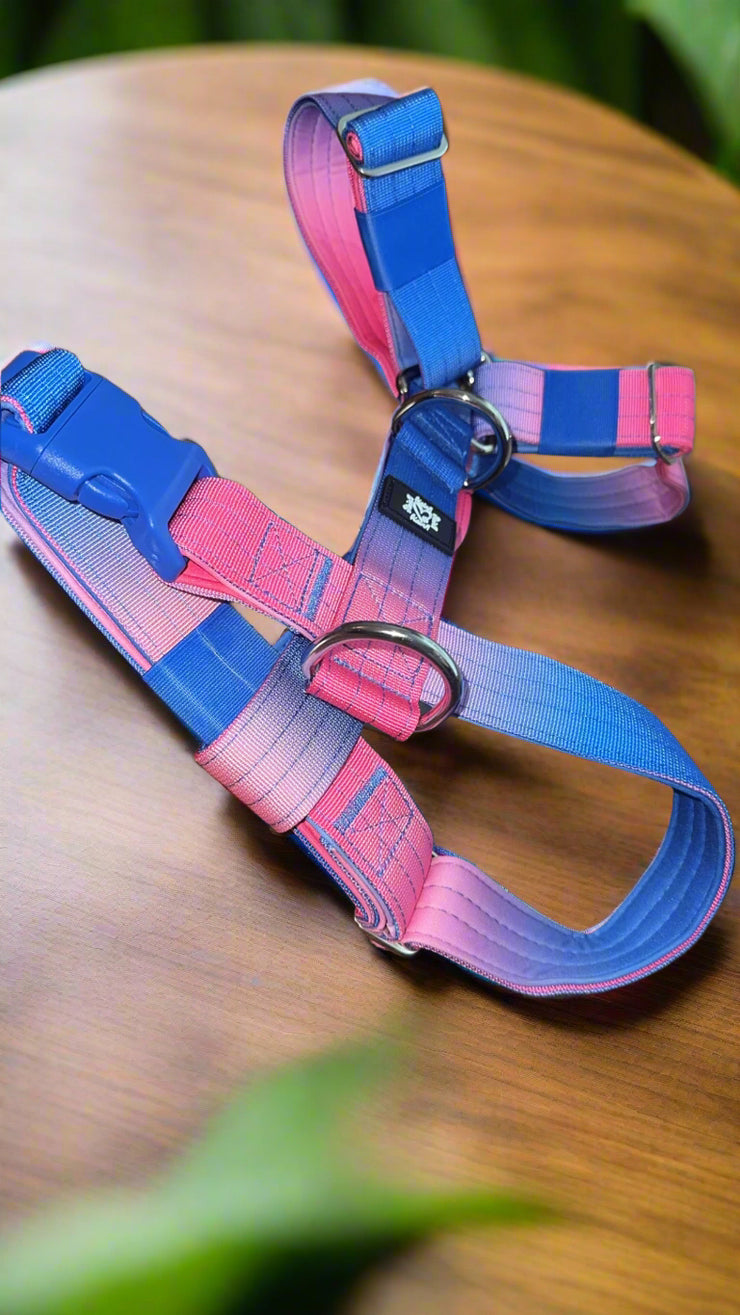 Pink & Blue Ombre | 5cm Tactical Harness