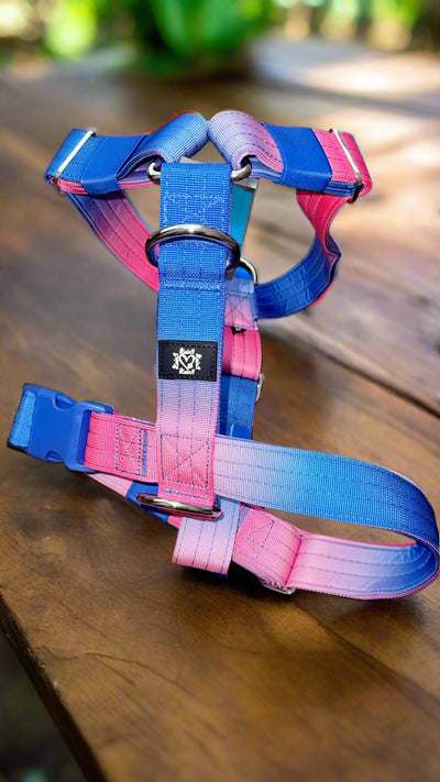 Pink & Blue Ombre | 5cm Tactical Harness