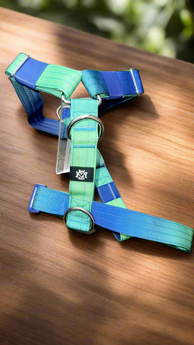 BLUE & GREEN OMBRE | 5CM TACTICAL HARNESS