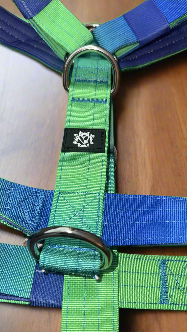 BLUE & GREEN OMBRE | 5CM TACTICAL HARNESS