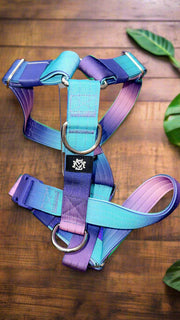 BLUE & PURPLE OMBRE | 5CM TACTICAL HARNESS