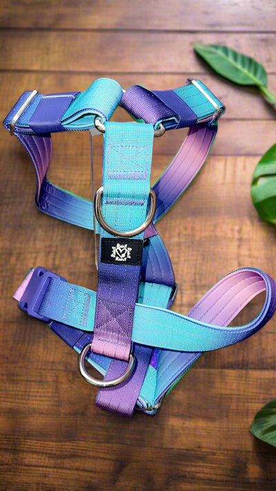 BLUE & PURPLE OMBRE | 5CM TACTICAL HARNESS