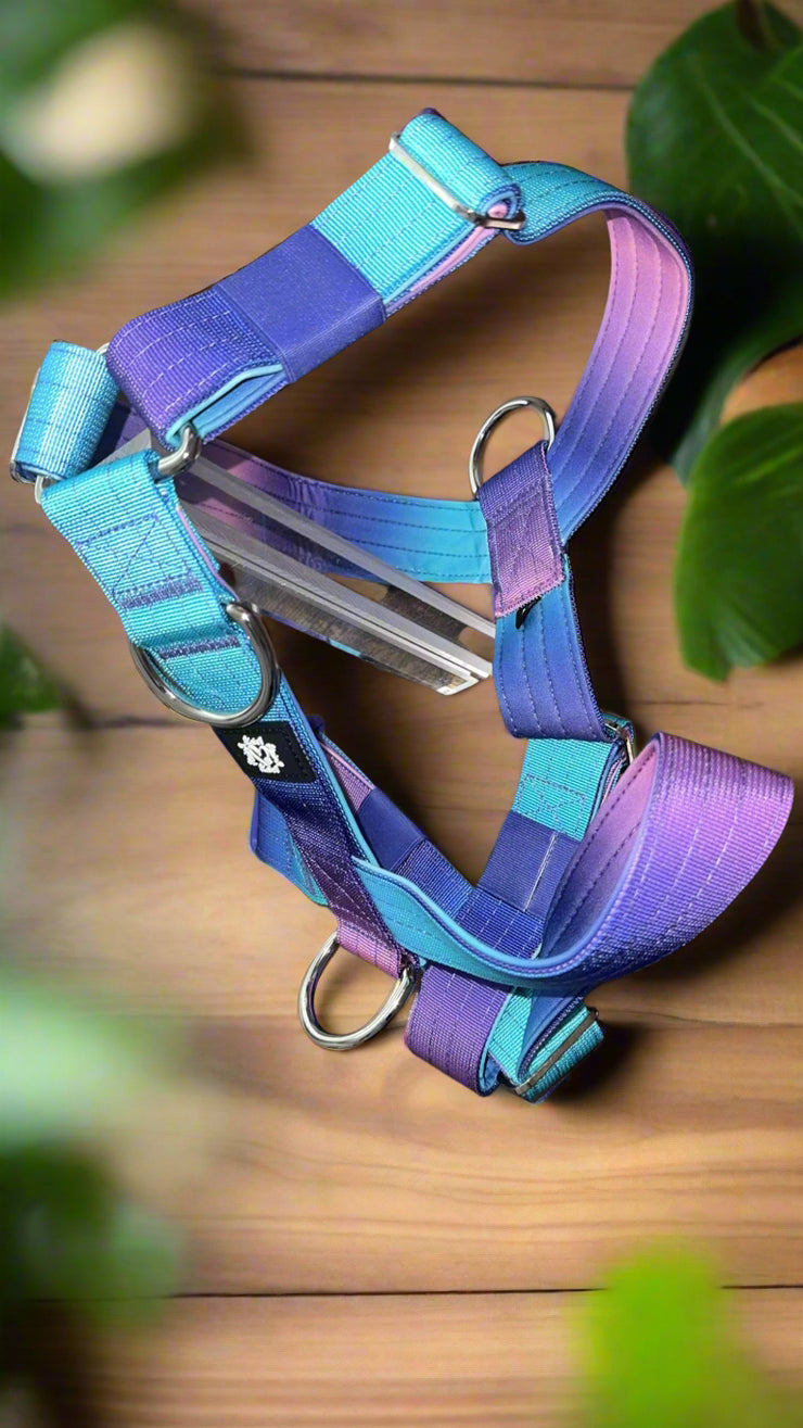 BLUE & PURPLE OMBRE | 5CM TACTICAL HARNESS