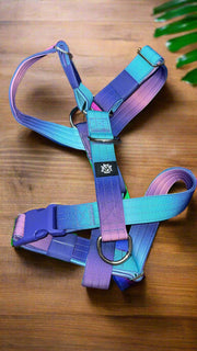 BLUE & PURPLE OMBRE | 5CM TACTICAL HARNESS