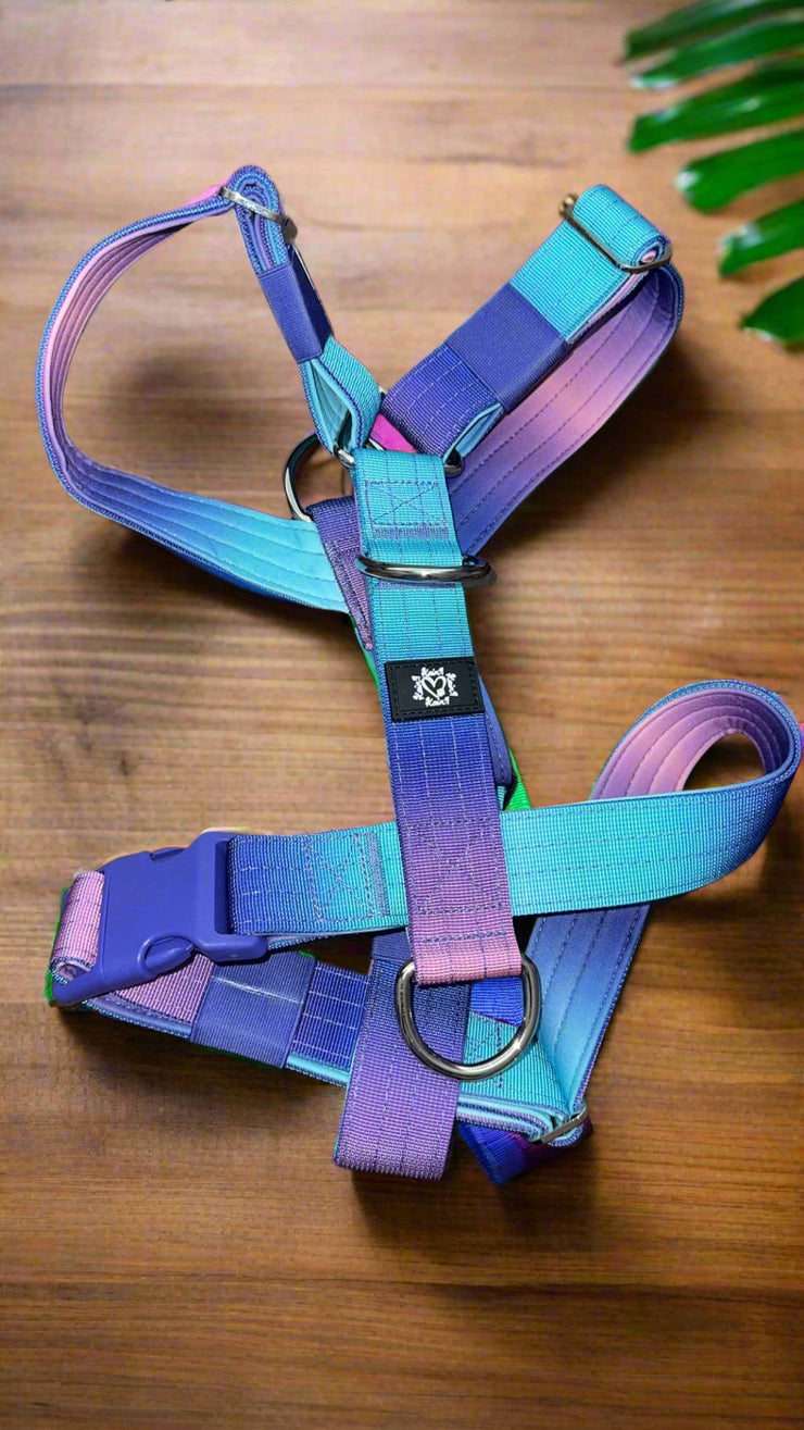 BLUE & PURPLE OMBRE | 5CM TACTICAL HARNESS