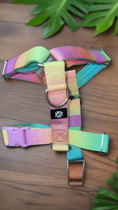 SUNSET | 5CM TACTICAL HARNESS