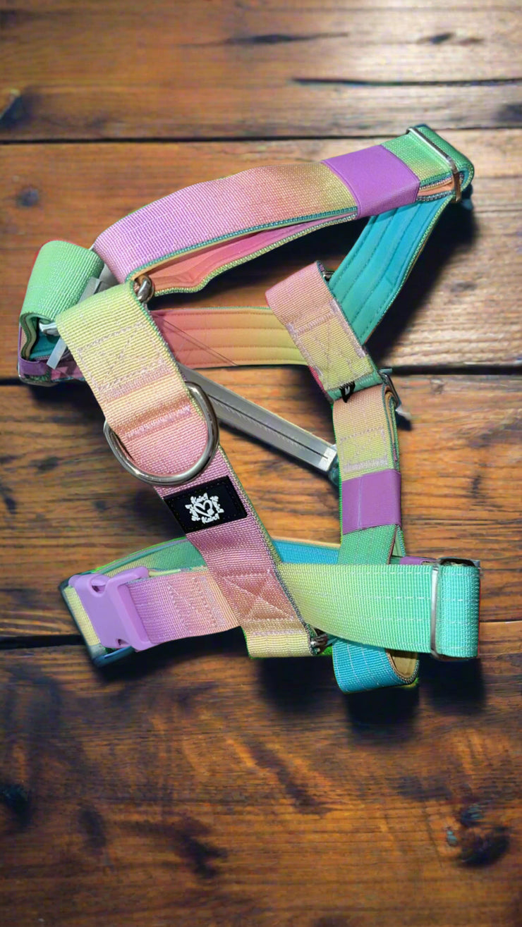 SUNSET | 5CM TACTICAL HARNESS