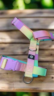 SUNSET | 5CM TACTICAL HARNESS
