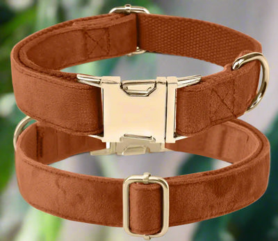 Luxury Velvet Collar | Golden Buckle | Bronze