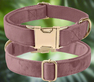 Luxury Velvet Collar | Golden Buckle | Dark Pink