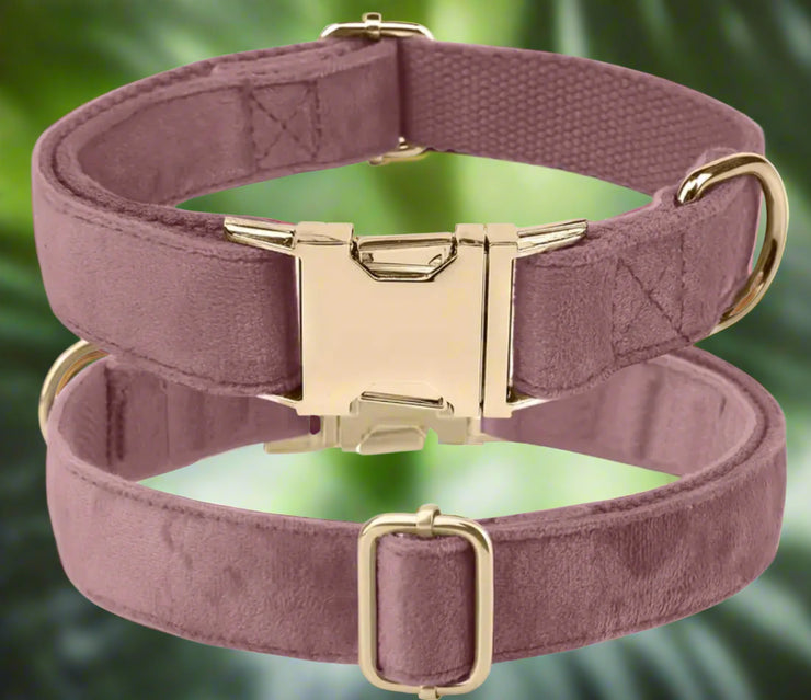 Luxury Velvet Collar | Golden Buckle | Dark Pink