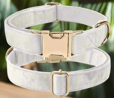 Luxury Velvet Collar | Golden Buckle | White