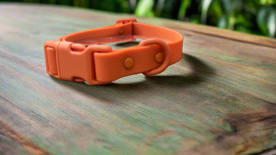 Waterproof | Order-Resistant | Rustproof | PVC Collar | Orange