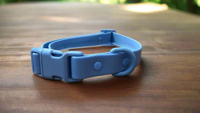 Waterproof | Order-Resistant | Rustproof | PVC Collar | Blue