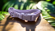 Waterproof | Order-Resistant | Rustproof | PVC Collar | Purple