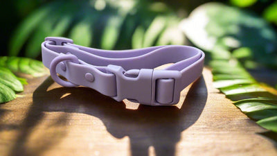 Waterproof | Order-Resistant | Rustproof | PVC Collar | Purple