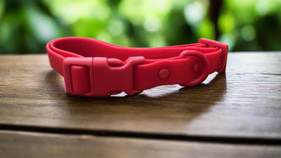 Waterproof | Order-Resistant | Rustproof | PVC Collar | Red
