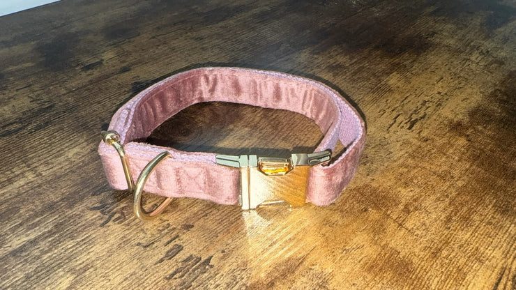 Luxury Velvet Collar | Golden Buckle | Dark Pink