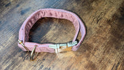 Luxury Velvet Collar | Golden Buckle | Dark Pink