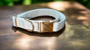 Luxury Velvet Collar | Golden Buckle | White