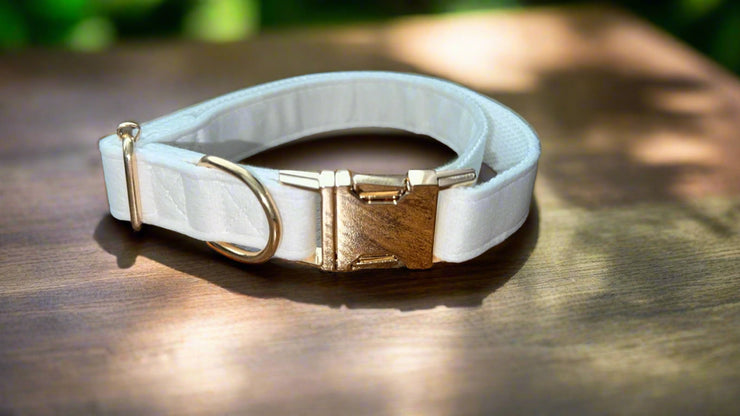 Luxury Velvet Collar | Golden Buckle | White