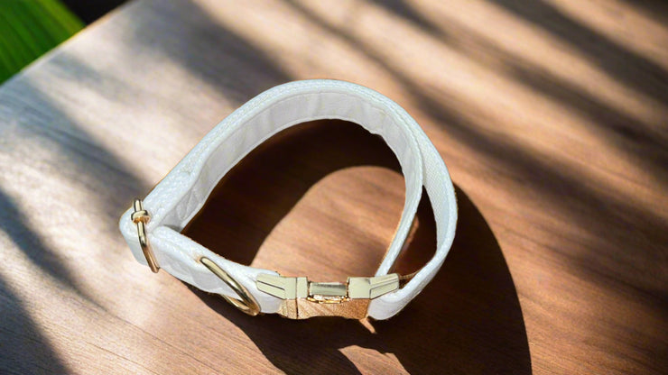 Luxury Velvet Collar | Golden Buckle | White