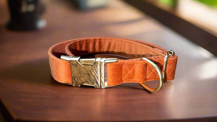 Luxury Velvet Collar | Golden Buckle | Bronze