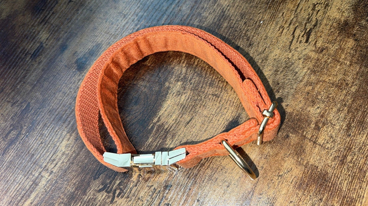 Luxury Velvet Collar | Golden Buckle | Bronze