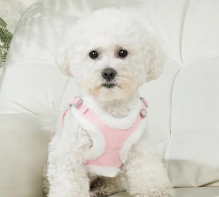 Warm Fluffy Harness | Pink