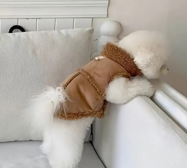 Warm & Comfortable Winter Jacket | Brown