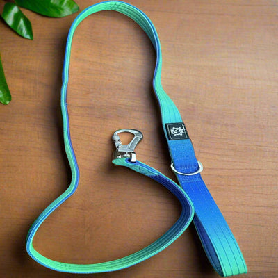 Tactical Dog Leads | Blue & Green Ombre
