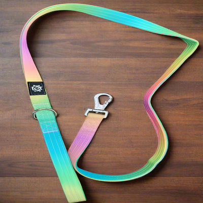 Tactical Dog Leads | Sunset
