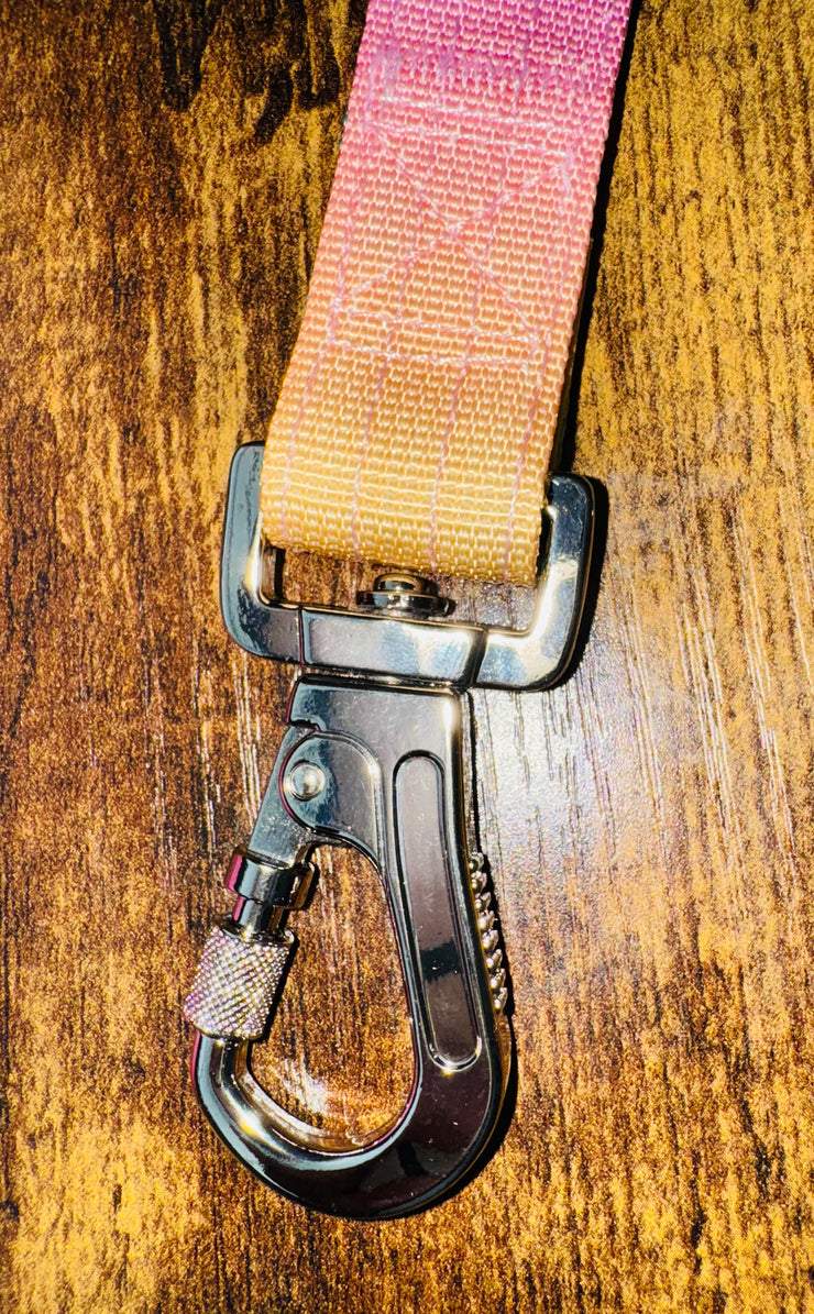 Tactical Dog Leads | Sunset