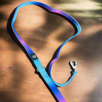 Tactical Dog Lead | Blue & Purple Ombre