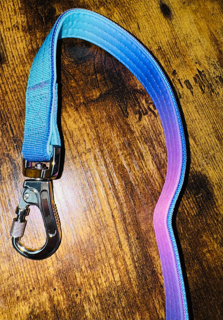 Tactical Dog Lead | Blue & Purple Ombre