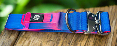 5cm Tactical Collar | Robust Handle | Pink & Blue Ombre