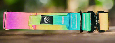 5cm Tactical Collar | Robust Handle | Sunset