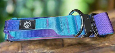 5cm Tactical Collar | Robust Handle | Blue & Purple Ombre