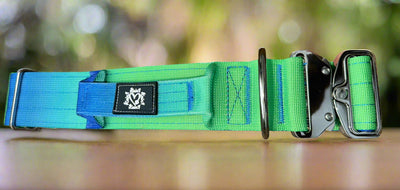 5cm Tactical Collar | Robust Handle | Blue & Green Ombre
