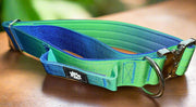 5cm Tactical Collar | Robust Handle | Blue & Green Ombre