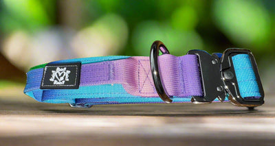 3.8cm Tactical Collar | With Robust Handle | Blue & Purple Ombre