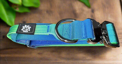 3.8cm Tactical Collar | With Robust Handle | Blue & Green Ombre