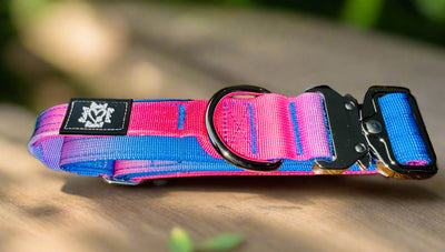 3.8cm Tactical Collar | With Robust Handle | Pink & Blue Ombre
