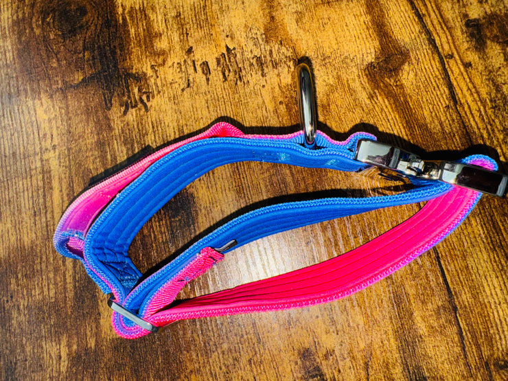 3.8cm Tactical Collar | With Robust Handle | Pink & Blue Ombre