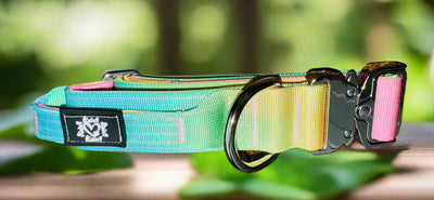 3.8cm Tactical Collar | With Robust Handle | Sunset