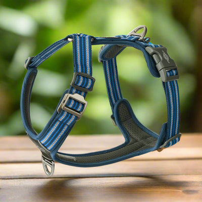 Comfort Harness | Highly Reflective