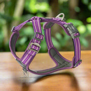 Comfort Harness | Highly Reflective